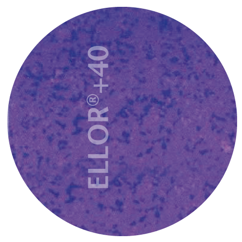 ELLOR®+40 Blockscheibe 300 x 600 (freie Wahl Höhe)